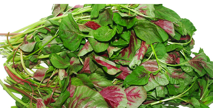 4 loại rau mọc hoang đầy ở Việt Nam là 'rau trường thọ' ở nhiều quốc gia - Ảnh 2
